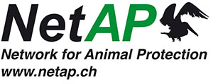 NetAP Logo